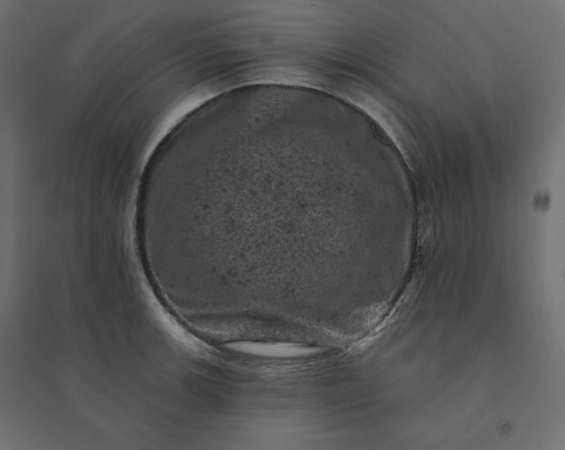 X0000094441139200711211450