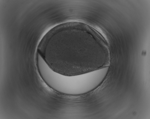 X0000094441140200711211450