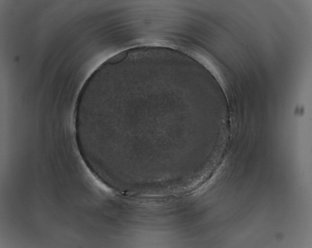 X0000094441141200711211450