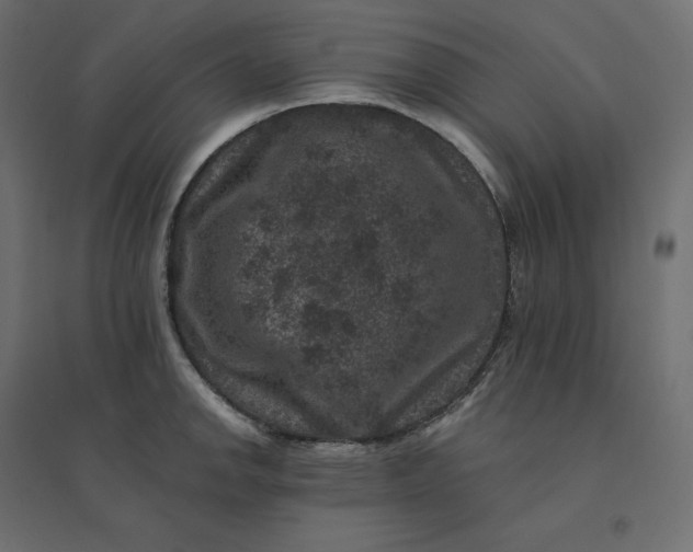 X0000094441142200711211450