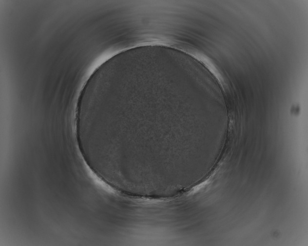 X0000094441143200711211450