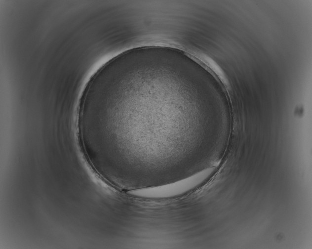 X0000094441144200711211450