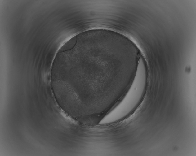 X0000094441145200711211450