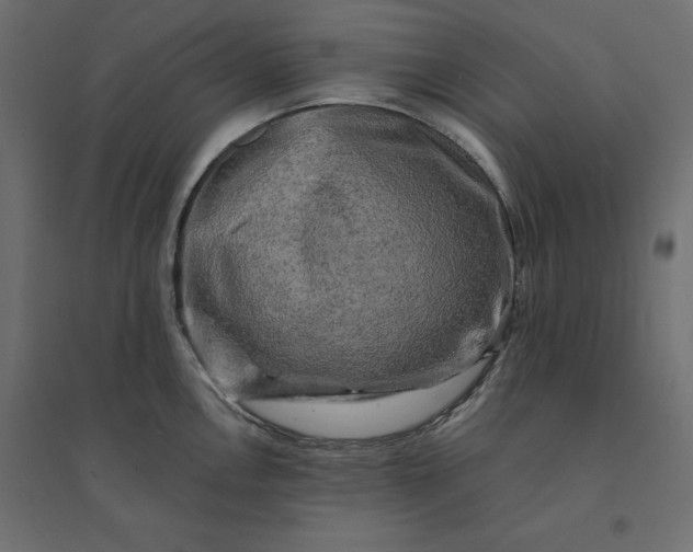 X0000094441146200711211450