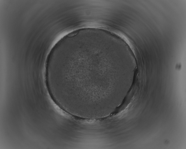 X0000094441147200711211450