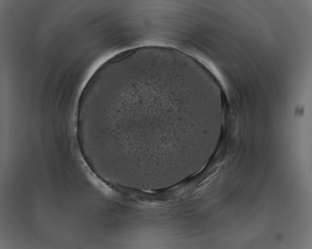 X0000094441148200711211450