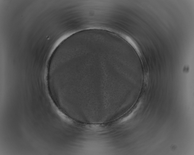 X0000094441149200711211450