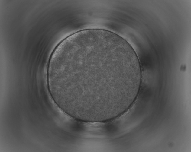 X0000094441150200711211450