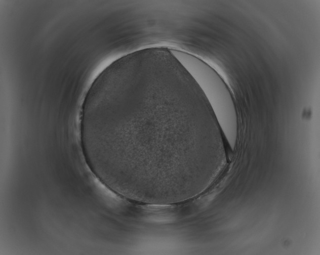 X0000094441151200711211450