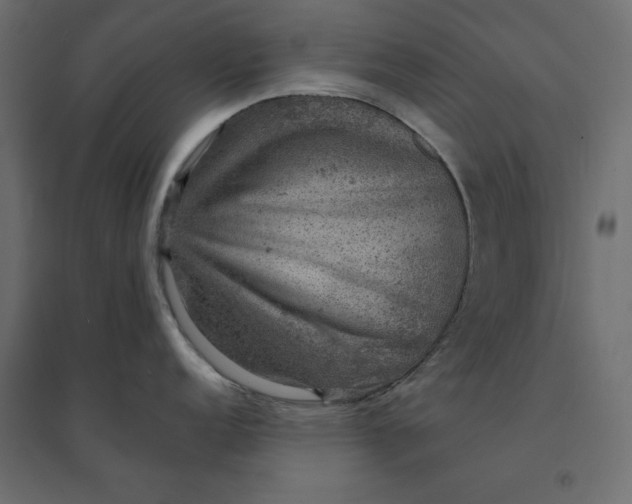 X0000094441152200711211450