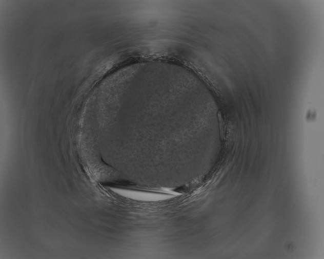 X0000094441153200711211449