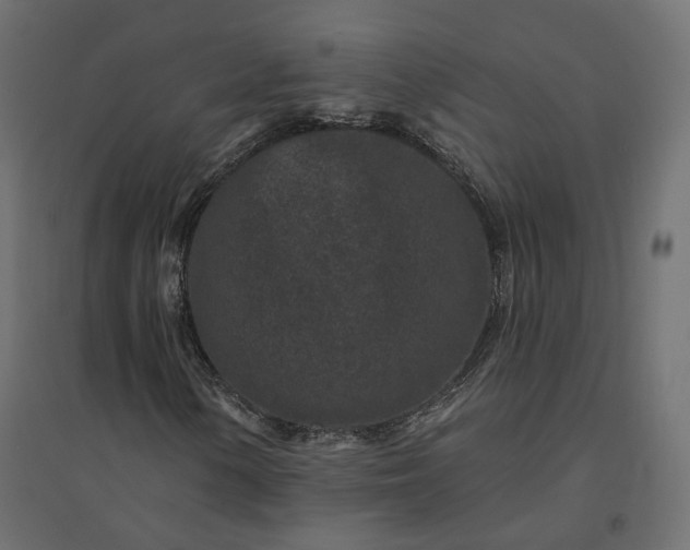 X0000094441154200711211449