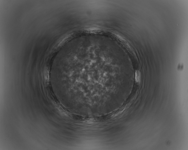 X0000094441155200711211449