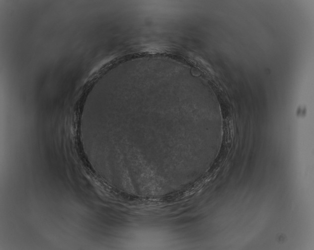 X0000094441158200711211449