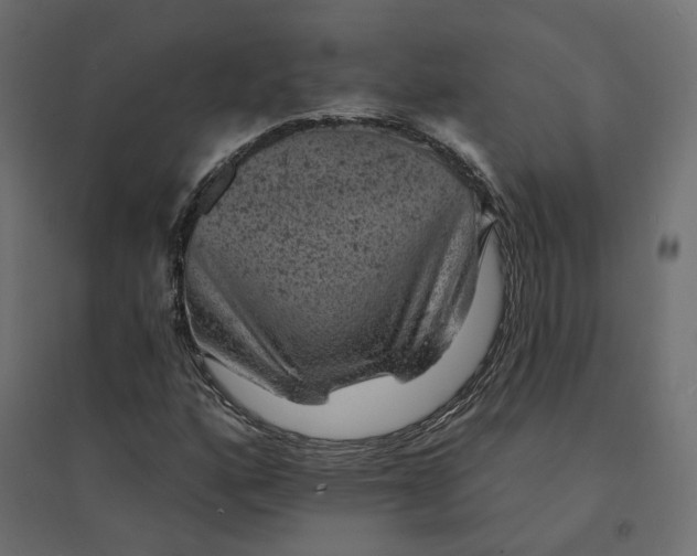 X0000094441160200711211449