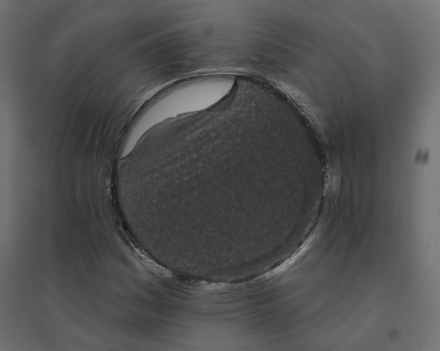 X0000094441161200711211449