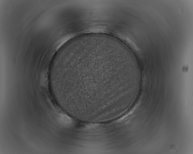 X0000094441162200711211449