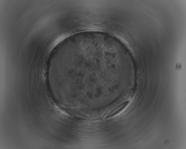 X0000094441163200711211449