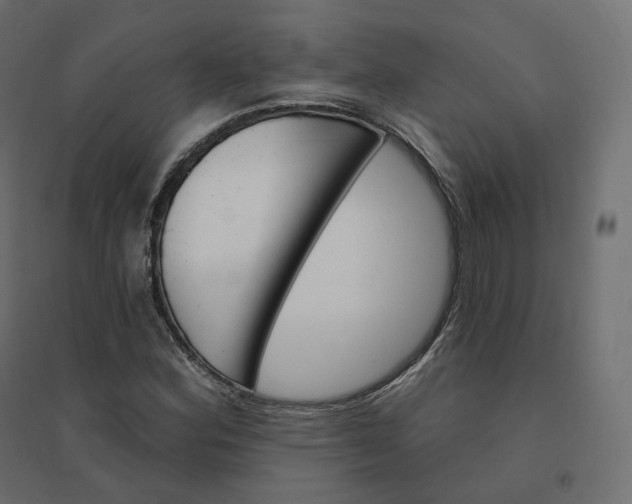 X0000094441164200711211449