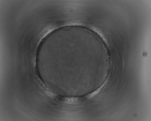 X0000094441165200711211449