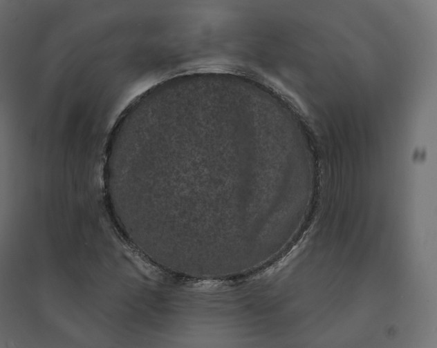 X0000094441166200711211449