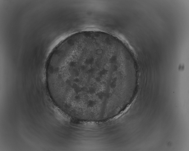 X0000094441167200711211449