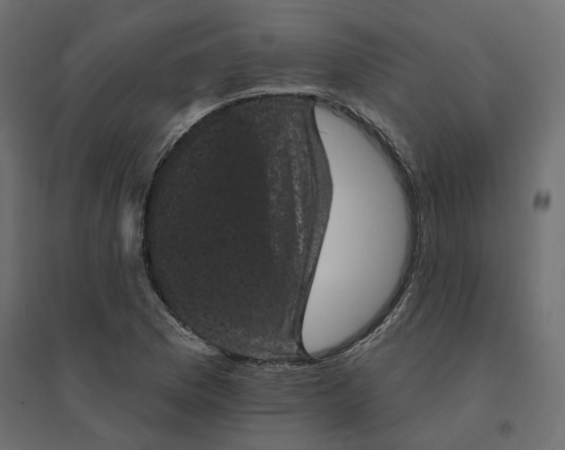 X0000094441169200711211449