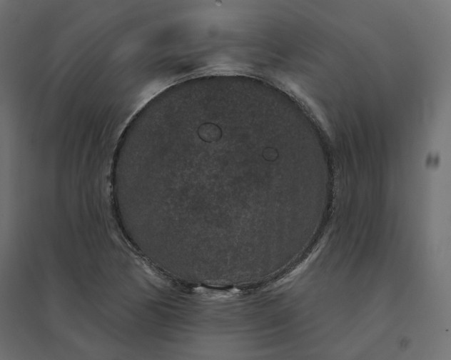 X0000094441170200711211449