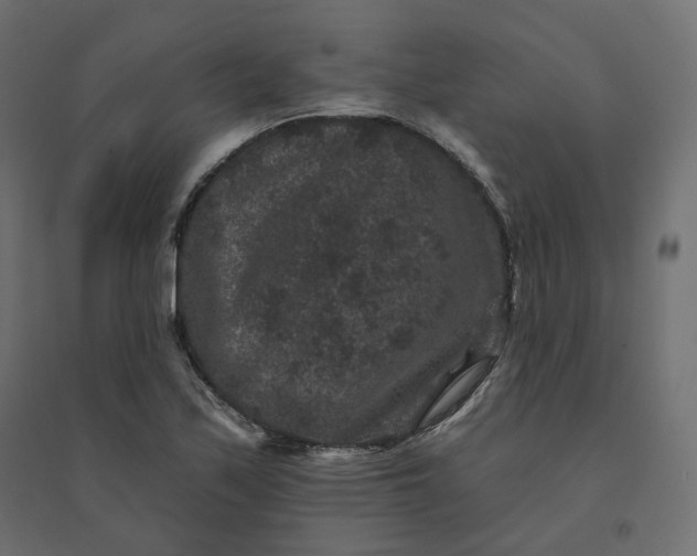 X0000094441171200711211449