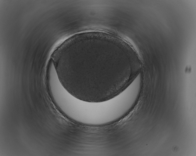 X0000094441172200711211449