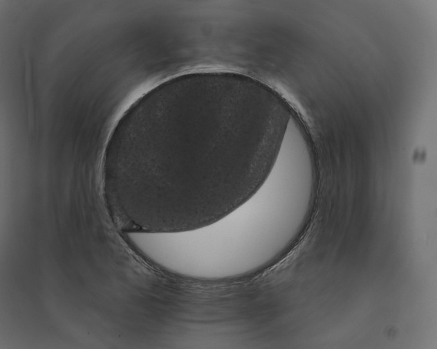 X0000094441173200711211449