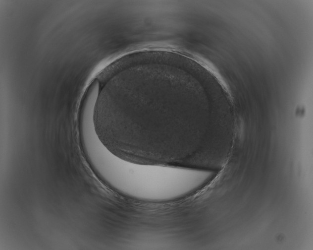 X0000094441176200711211449