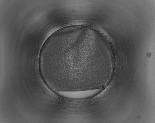 X0000094441178200711211449