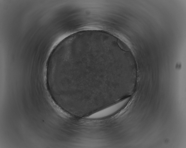 X0000094441179200711211449