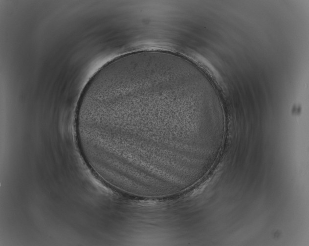 X0000094441182200711211449