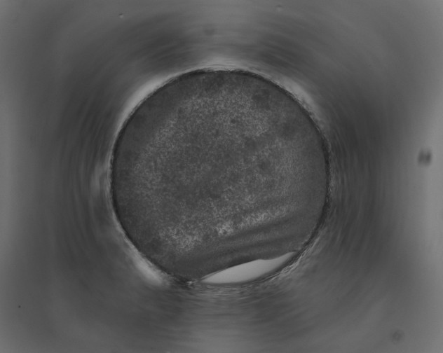 X0000094441183200711211449