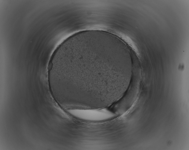 X0000094441184200711211449