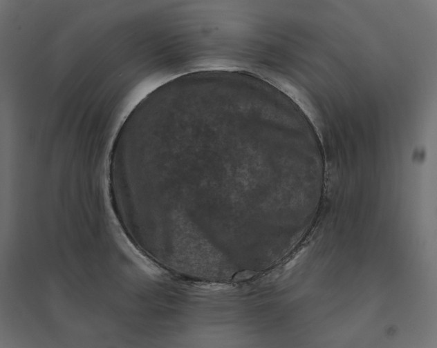 X0000094441187200711211449