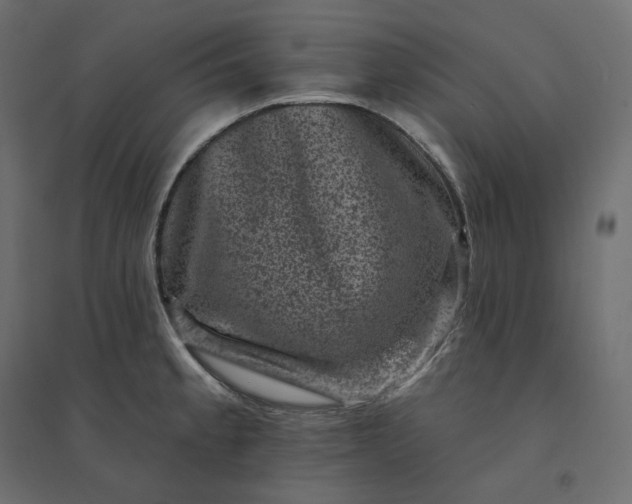 X0000094441189200711211449