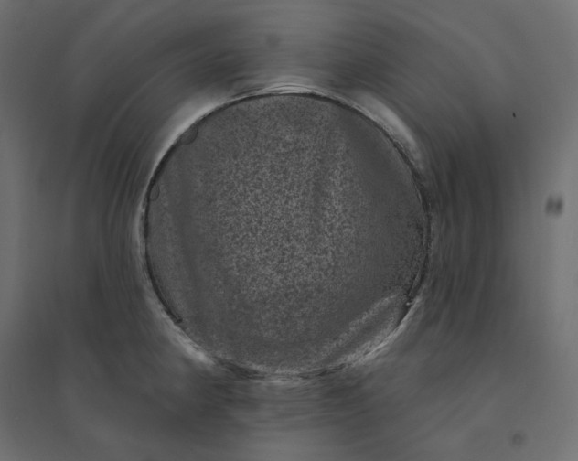 X0000094441190200711211449