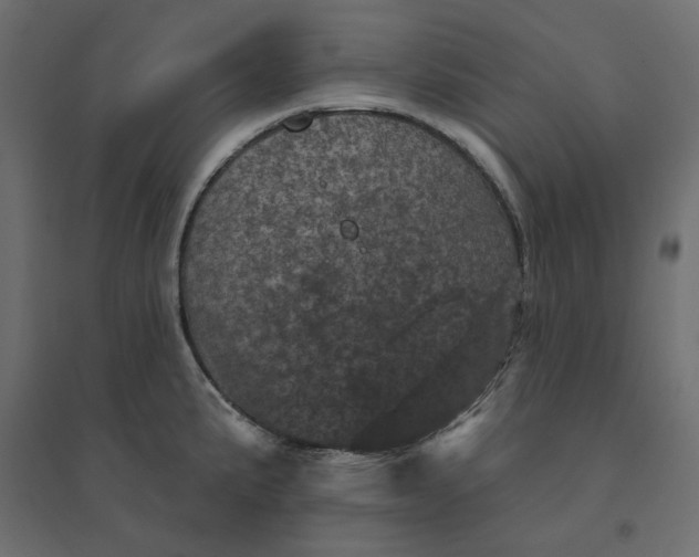 X0000094441191200711211449