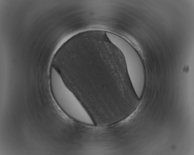 X0000094441192200711211449