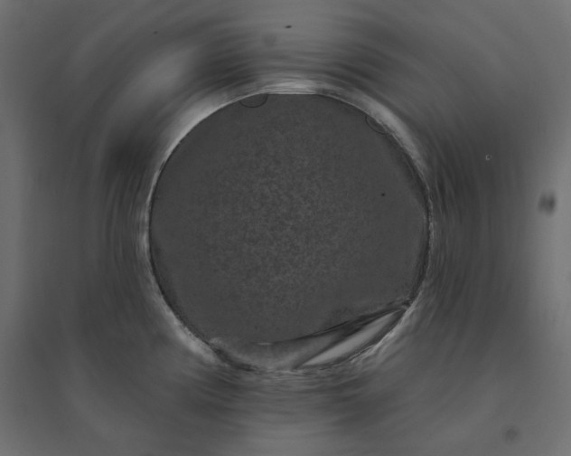 X0000094441194200711211449