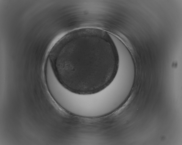 X0000094441196200711211449