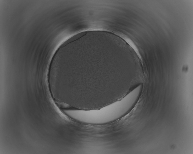 X0000094441197200711211449