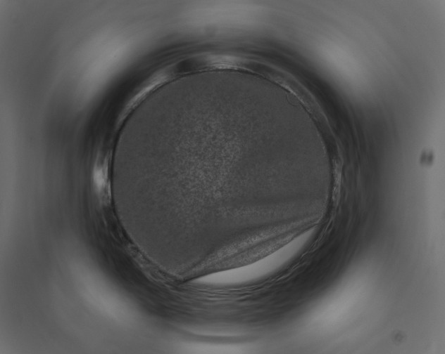 X0000094441198200711211449