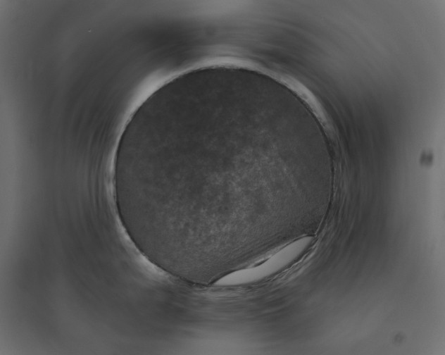 X0000094441199200711211449