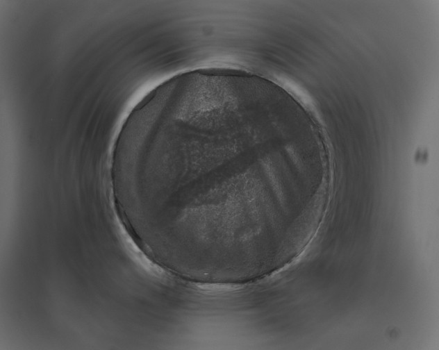 X0000094441200200711211449