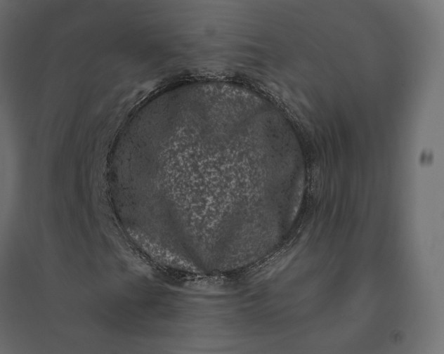 X0000094441201200711211448