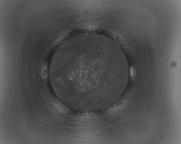 X0000094441203200711211448